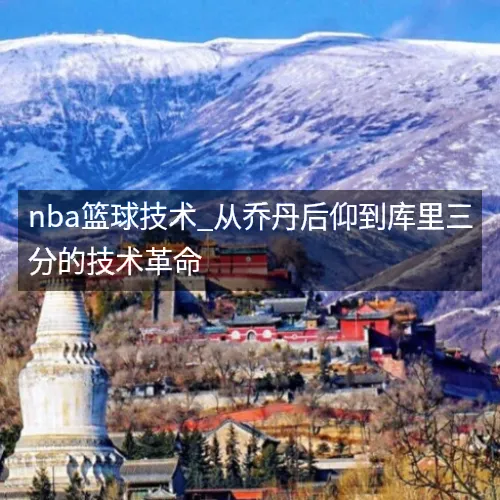 nba篮球技术_从乔丹后仰到库里三分的技术革命