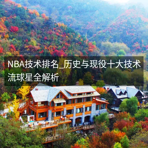 NBA技术排名_历史与现役十大技术流球星全解析