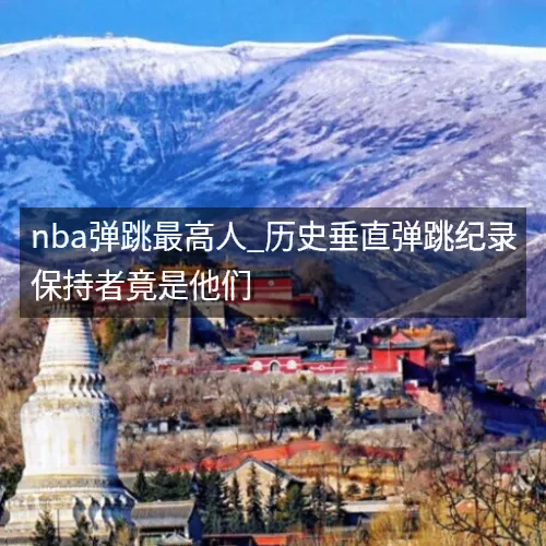 nba弹跳最高人_历史垂直弹跳纪录保持者竟是他们