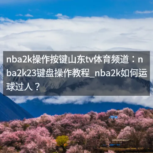 nba2k操作按键山东tv体育频道：nba2k23键盘操作教程_nba2k如何运球过人？