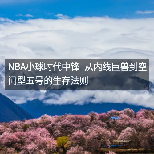 NBA小球时代中锋_从内线巨兽到空间型五号的生存法则