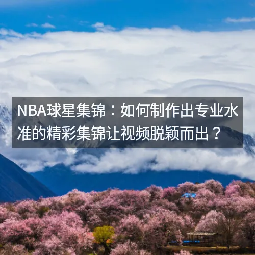 28圈平台